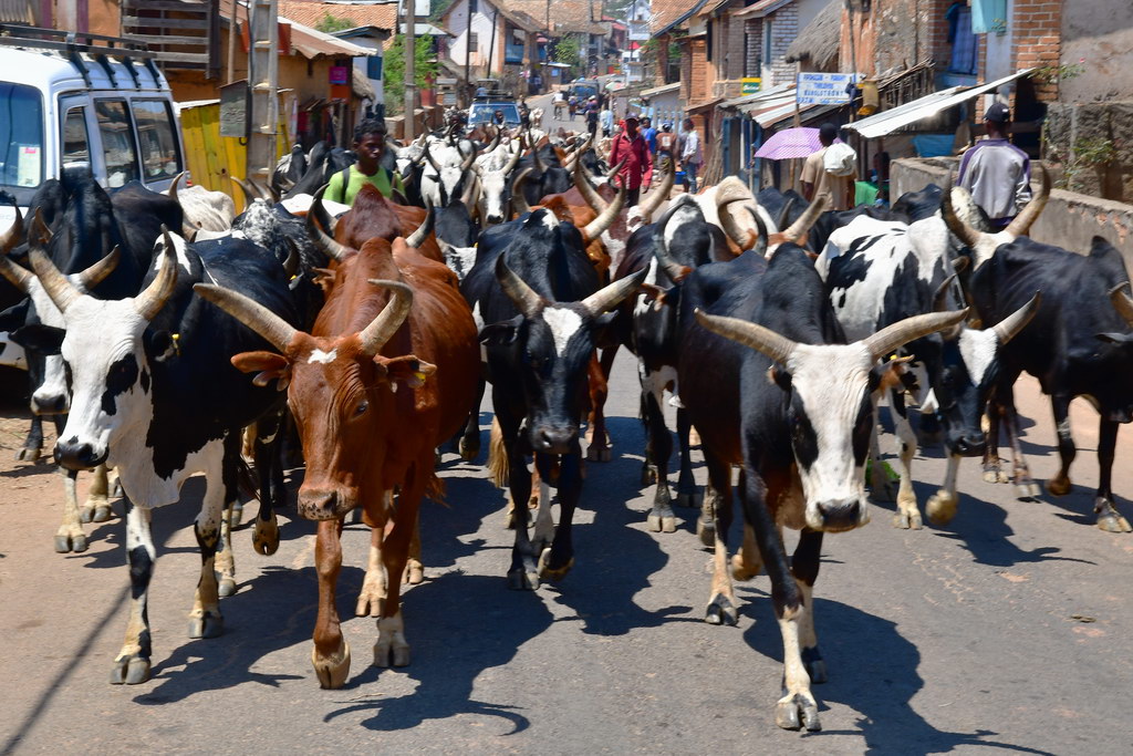 Ambalavao to Fianarantsoa